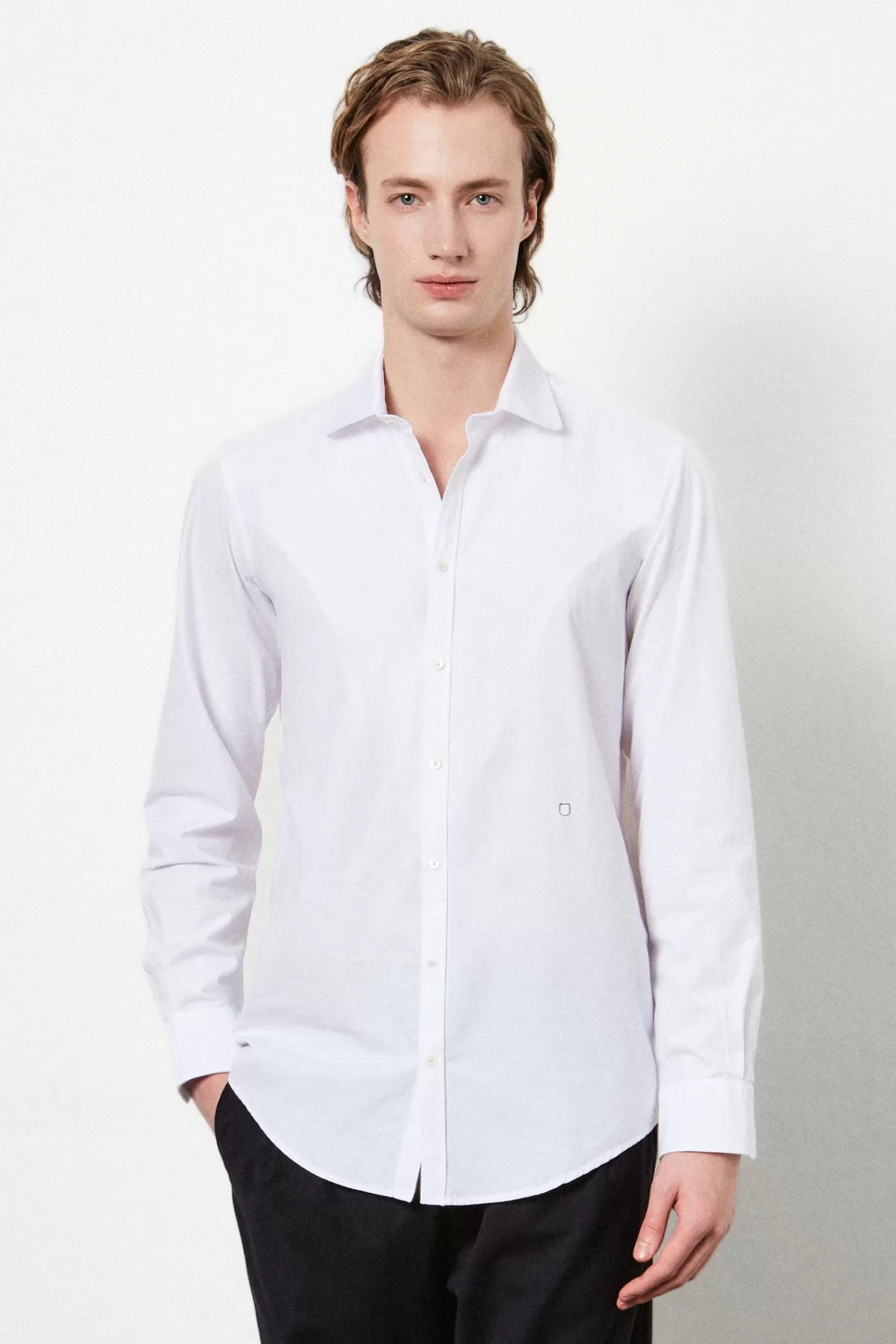 Massimo Alba CANARY< Shirts