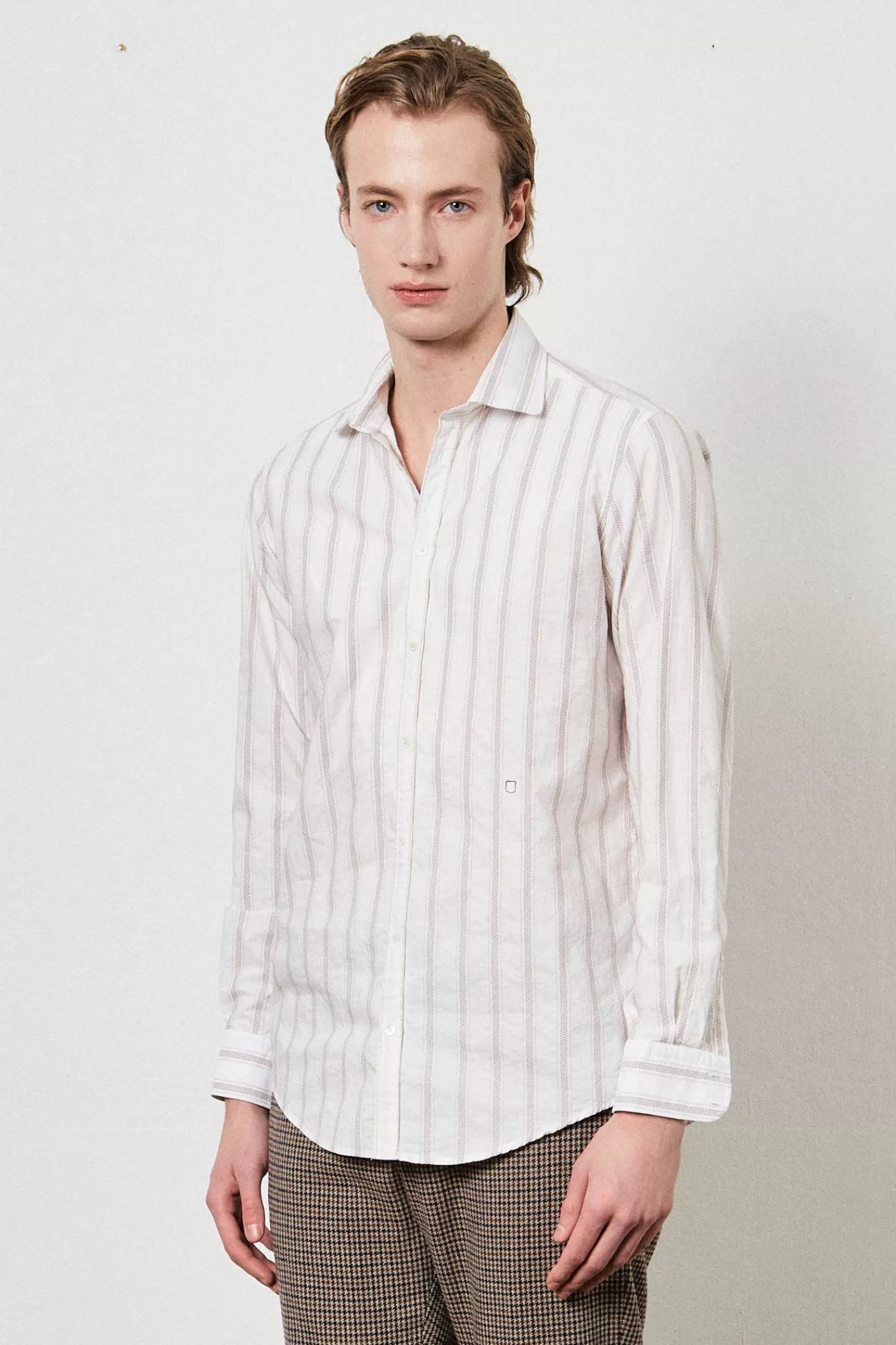 Massimo Alba CANARY< Shirts